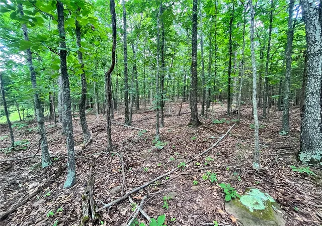 4th image of 00 Nc 4810, Mount Judea, AR 72655 | MLS# 1354547