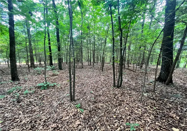 5th image of 00 Nc 4810, Mount Judea, AR 72655 | MLS# 1354547