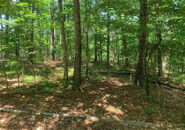 2nd image of 20 Montijo Wy, Hot Springs Village, AR 71909 | MLS# 1354611