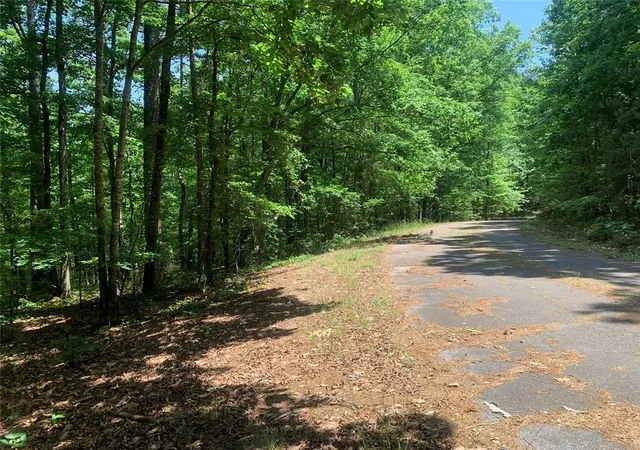 3rd image of 20 Montijo Wy, Hot Springs Village, AR 71909 | MLS# 1354611
