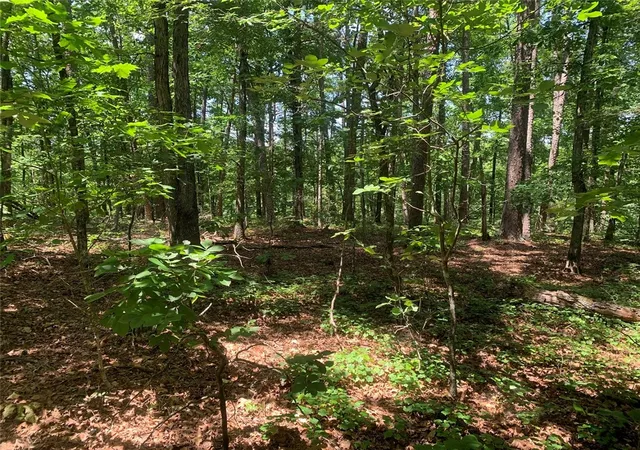 5th image of 20 Montijo Wy, Hot Springs Village, AR 71909 | MLS# 1354611