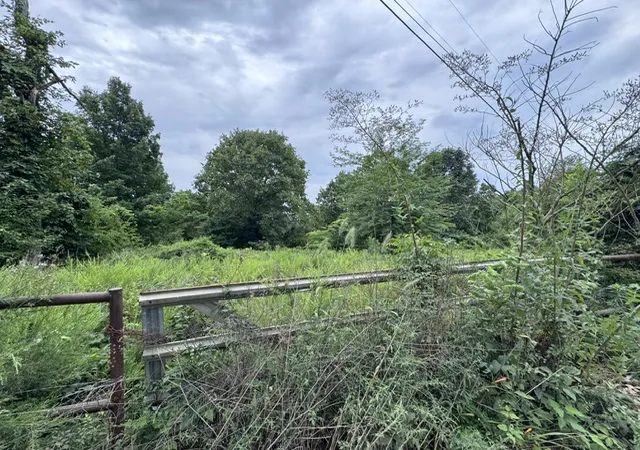 3rd image of 001-06286-001 Cr 484, Clarkridge, AR 72623 | MLS# 1354682