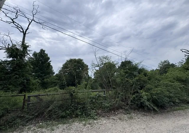 4th image of 001-06286-001 Cr 484, Clarkridge, AR 72623 | MLS# 1354682