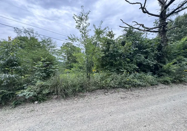 5th image of 001 06286 001 Cr 484, Clarkridge, AR 72623 | MLS# 1354682