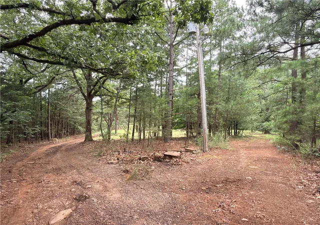 4th image of 3938 County Road 3631, Lamar, AR 72846 | MLS# 1354838