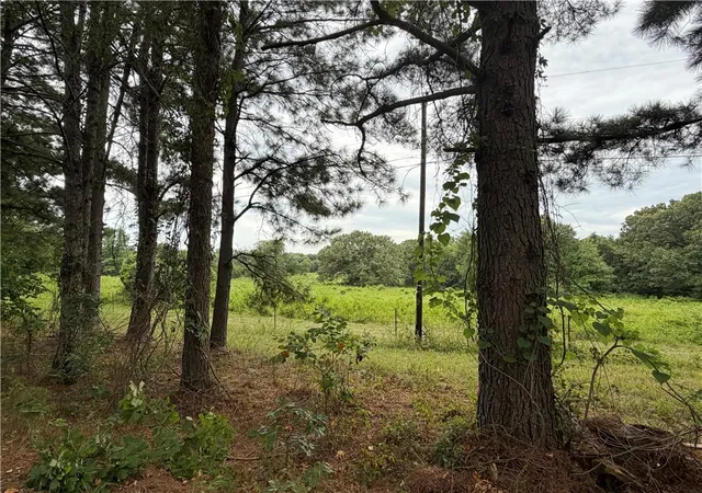 Photo 4 of Land for sale at 000 Jamestown Road/ S Rogers, Clarksville, AR 72830 | MLS# 1354847 | Listing updated on 2026-07-10