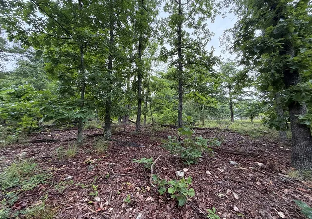 Homes for sale in Harrison, AR | Off Of Morgan Cave Rd, Harrison, AR 72601 | MLS# 1354915