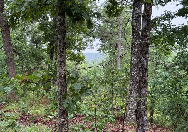 4th image of Off Of Morgan Cave Rd, Harrison, AR 72601 | MLS# 1354915