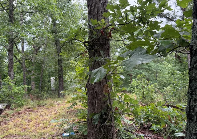 5th image of Off Of Morgan Cave Rd, Harrison, AR 72601 | MLS# 1354915