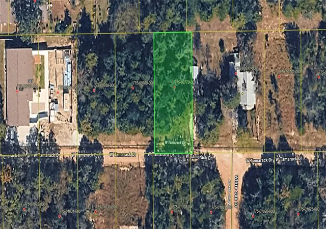 11th image of 000 W Tamarack Dr, Diamond City, AR 72630 | MLS# 1354998