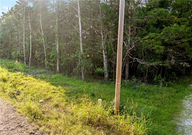 3rd image of 000 W Tamarack Dr, Diamond City, AR 72630 | MLS# 1354998