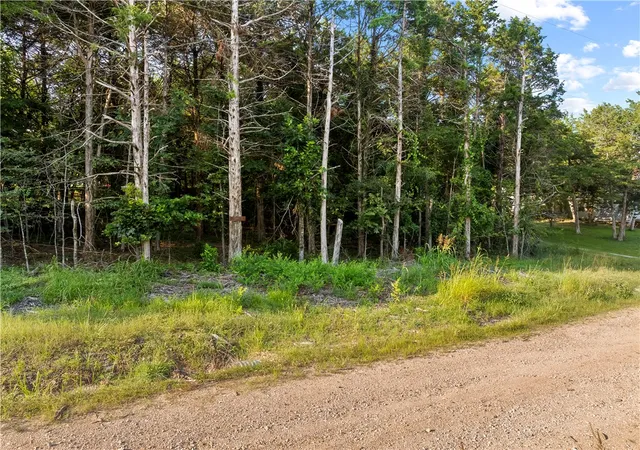 4th image of 000 W Tamarack Dr, Diamond City, AR 72630 | MLS# 1354998
