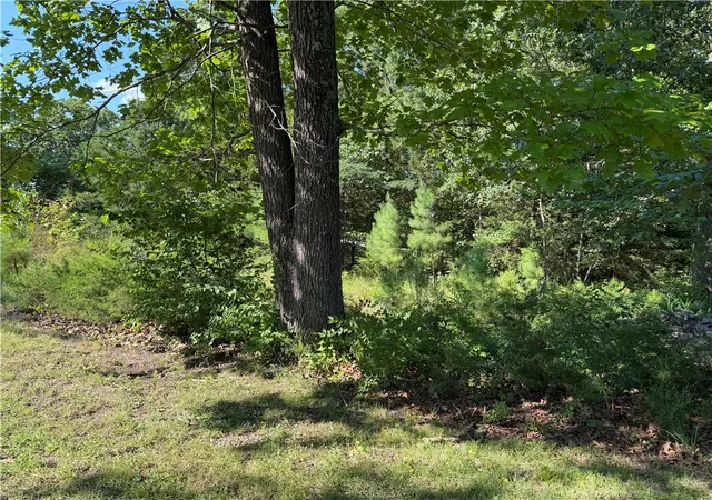 27th image of 325 Wayne Dr, Lakeview, AR 72642 | MLS# 1355010