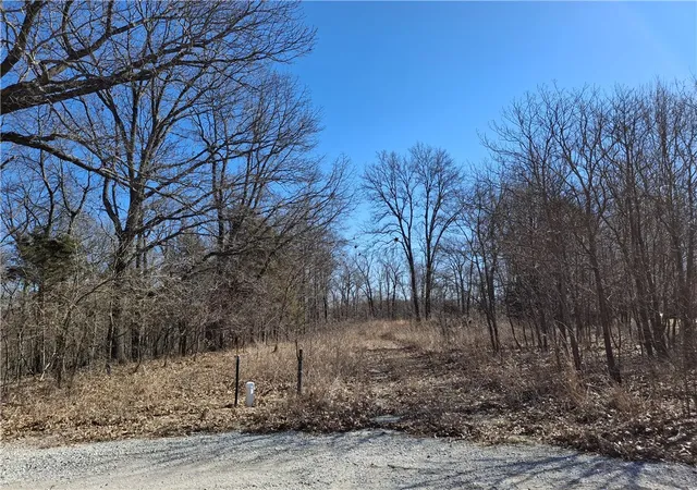 Homes for sale in Seligman, MO | 6237 Hunters Glen Rd, Seligman, MO 65745 | MLS# 1354753
