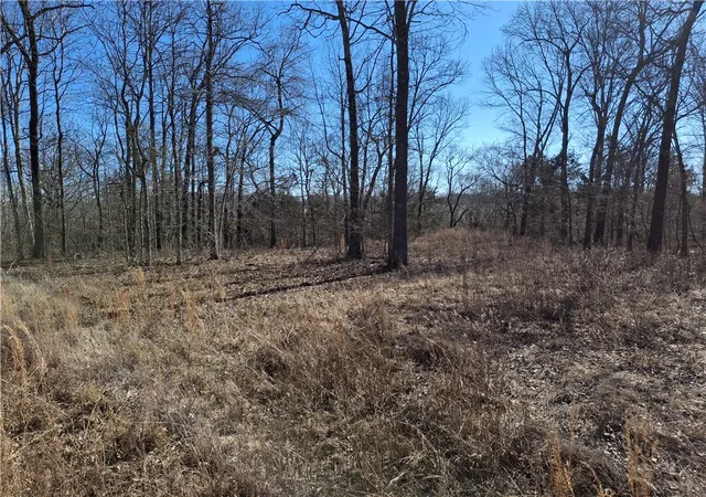 Homes for sale in Seligman, MO | 6237 Hunters Glen Rd, Seligman, MO 65745 | MLS# 1354753