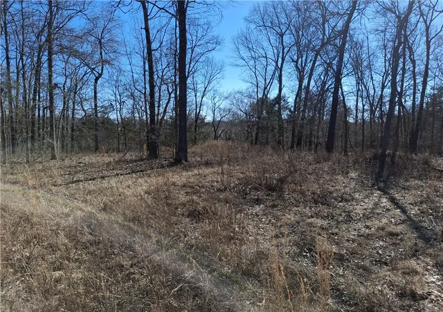 Homes for sale in Seligman, MO | 6237 Hunters Glen Rd, Seligman, MO 65745 | MLS# 1354753