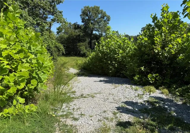 5th image of 18358 And 18362 Ponderosa Dr, Springdale, AR 72764 | MLS# 1354422