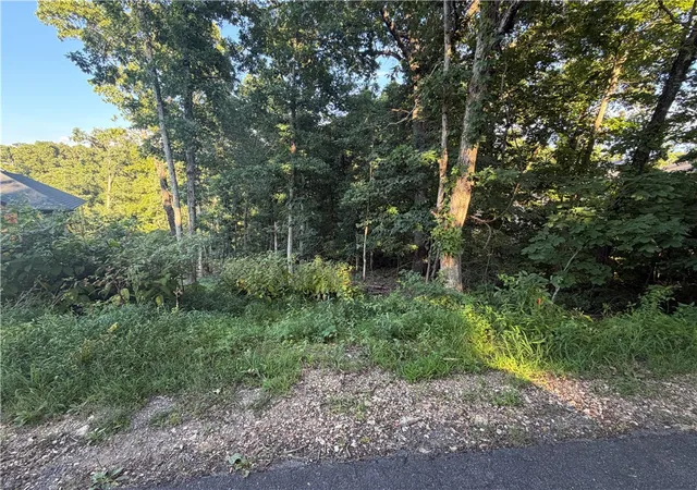 Photo 2 of Land for sale at Brigadoon Dr, Bella Vista, AR 72715 | MLS# 1355058 | Listing updated on 2026-10-06