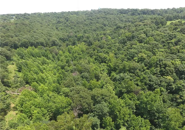 3rd image of Tbd Ar 7 S, Jasper, AR 72641 | MLS# 1355113