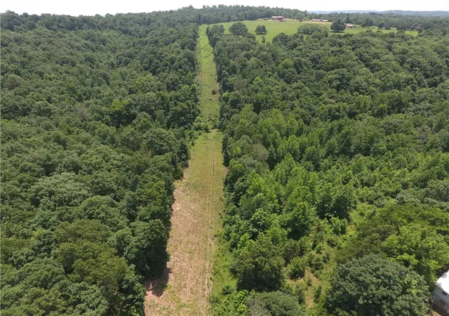 4th image of Tbd Ar 7 S, Jasper, AR 72641 | MLS# 1355113