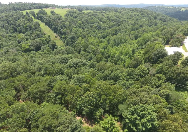 5th image of Tbd Ar 7 S, Jasper, AR 72641 | MLS# 1355113