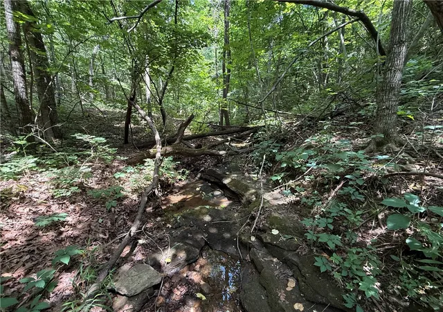 Photo 1 of Land for sale at Tbd Old Hwy 7, Jasper, AR 72641 | MLS# 1355154 | Listing updated on 2026-09-17