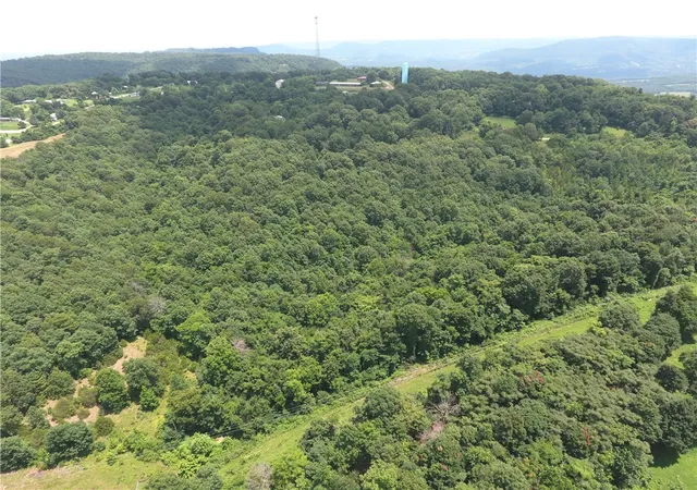 4th image of Tbd Old Hwy 7, Jasper, AR 72641 | MLS# 1355154