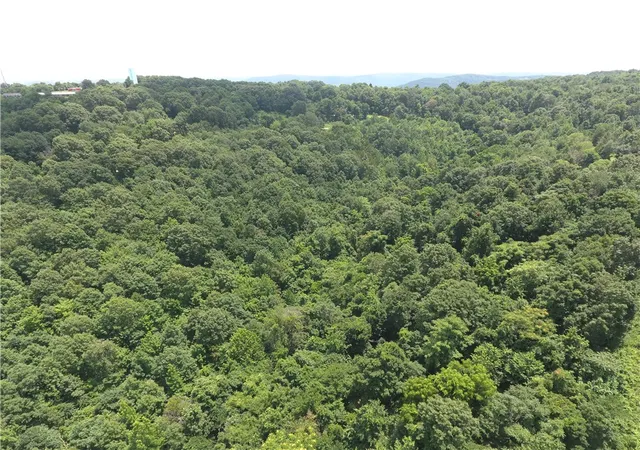 5th image of Tbd Old Hwy 7, Jasper, AR 72641 | MLS# 1355154