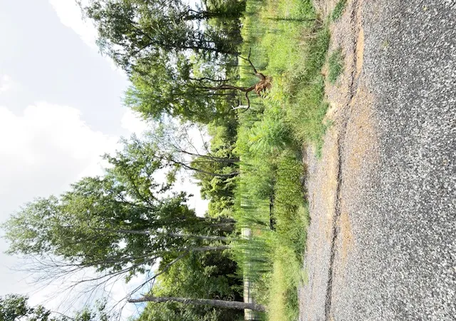 Photo 3 of Land for sale at 1265 Sequoyah Way, Russellville, AR 72801 | MLS# 1355061 | Listing updated on 2026-07-31