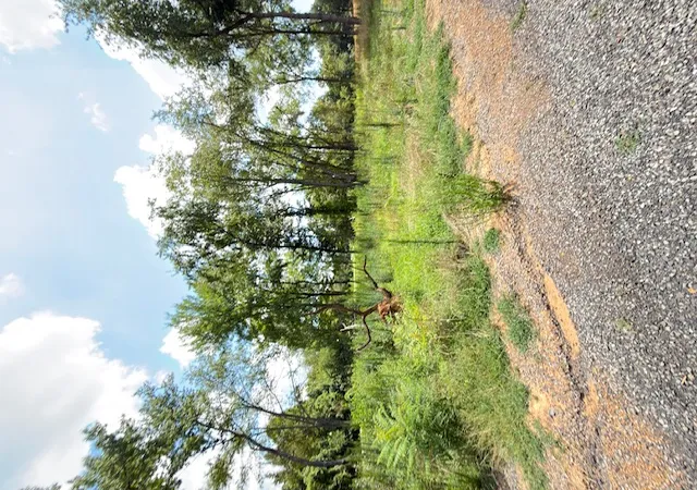 Photo 3 of Land for sale at 1265 Sequoyah Way, Russellville, AR 72801 | MLS# 1355061 | Listing updated on 2026-07-31