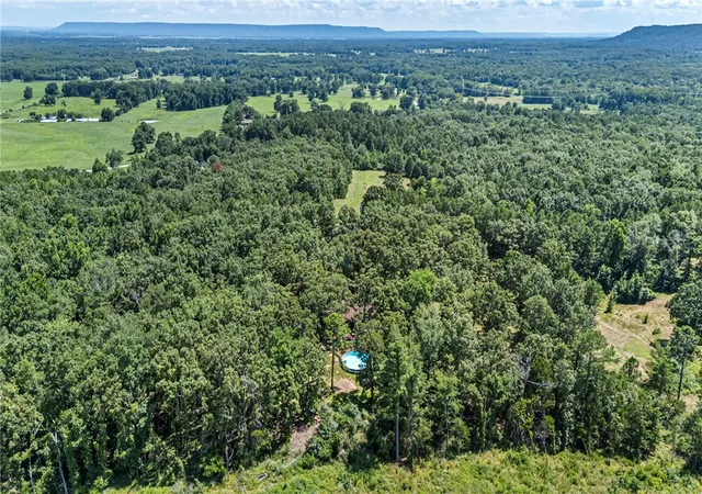 Homes for sale in Atkins, AR | 425 Hartwick Ln, Atkins, AR 72823 | MLS# 1354808