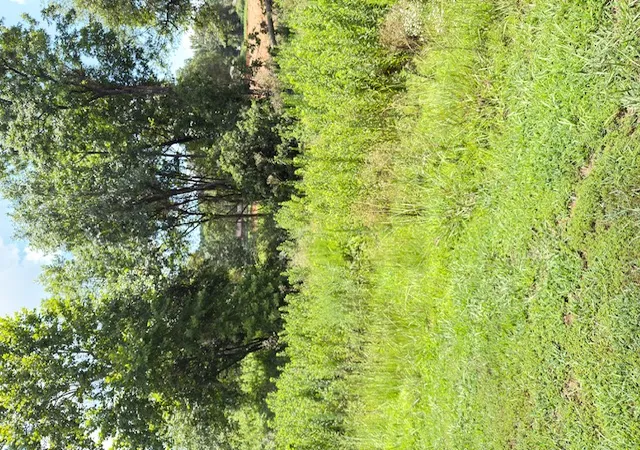1st image of Sequoyah Wy, Russellville, AR 72801 | MLS# 1355063