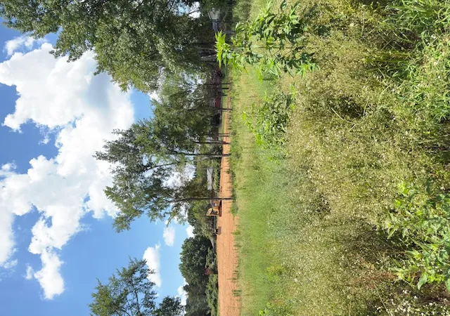 3rd image of Sequoyah Wy, Russellville, AR 72801 | MLS# 1355063