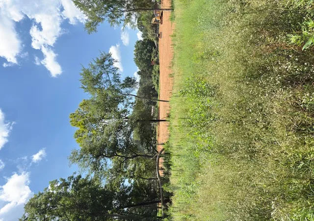 4th image of Sequoyah Wy, Russellville, AR 72801 | MLS# 1355063