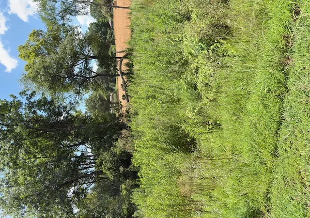 6th image of Sequoyah Wy, Russellville, AR 72801 | MLS# 1355063