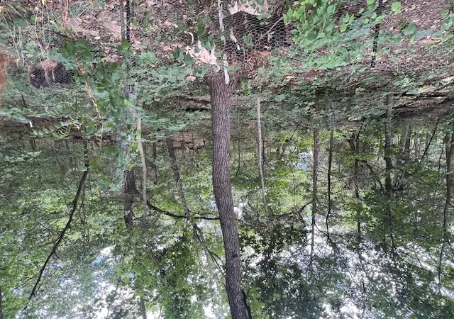4th image of 583 County Road 6561, Berryville, AR 72616 | MLS# 1355324