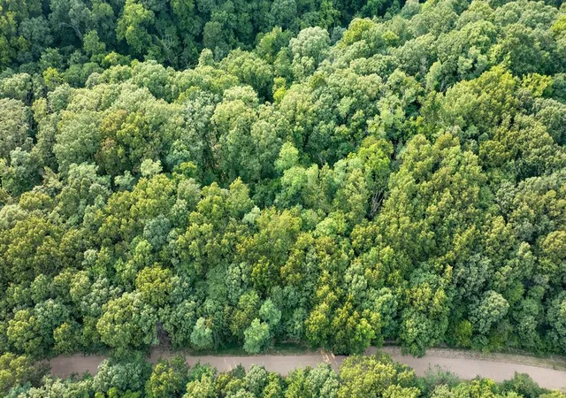 Photo 2 of Land for sale at Lot 377 Arabian Ln, Rogers, AR 72756 | MLS# 1355357 | Listing updated on 2026-09-29