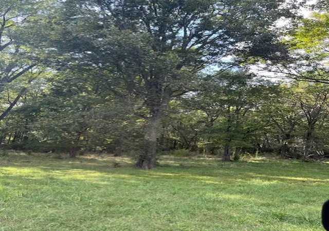 3rd image of 1498 Viney Grove Rd, Prairie Grove, AR 72753 | MLS# 1355352
