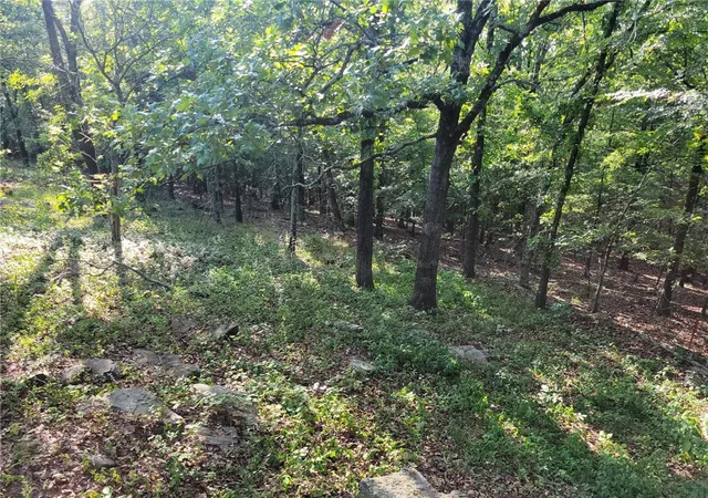 2nd image of 205 Apple, Russellville, AR 72802 | MLS# 1355186