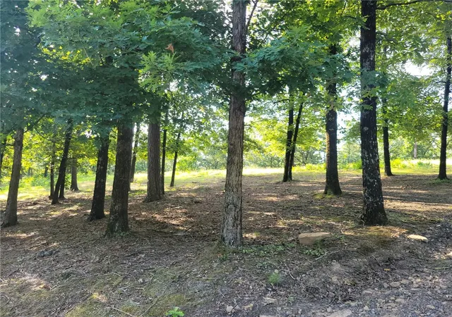 3rd image of 205 Apple, Russellville, AR 72802 | MLS# 1355186