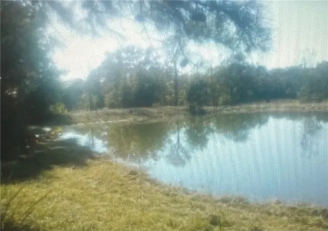 11th image of 40 Acres Vacant Land County Road 3411, Clarksville, AR 72830 | MLS# 1355216