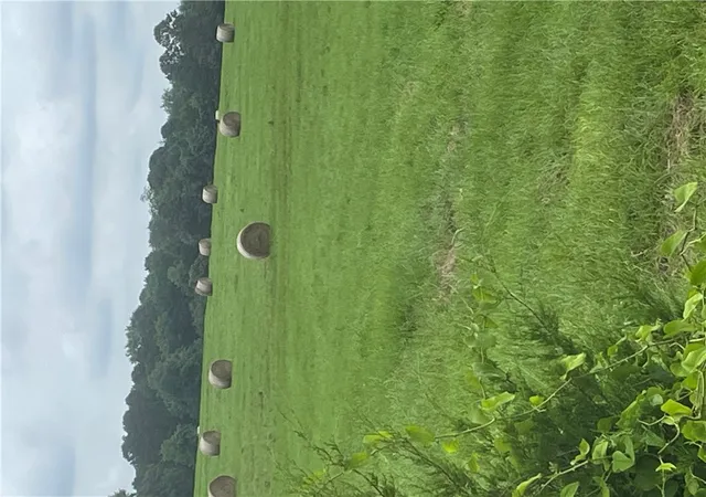 3rd image of 40 Acres Vacant Land County Road 3411, Clarksville, AR 72830 | MLS# 1355216