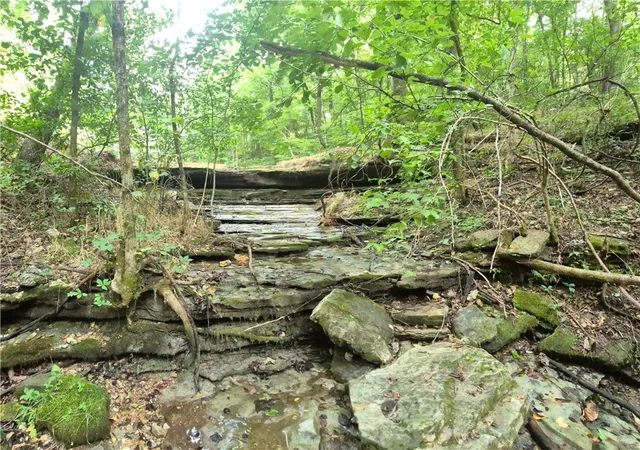 52nd image of 488 Nc 3990, Jasper, AR 72641 | MLS# 1354664