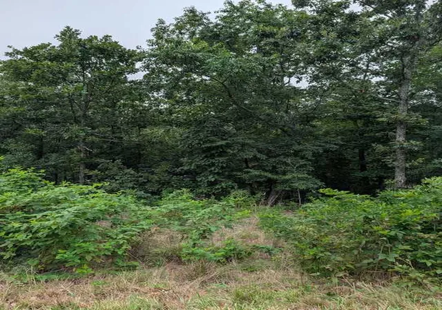 Photo 1 of Land for sale at Selkirk Dr, Bella Vista, AR 72715 | MLS# 1355579 | Listing updated on 2026-07-17