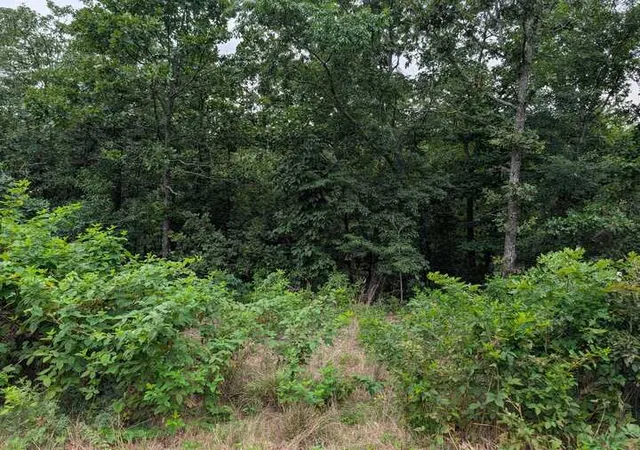 Photo 2 of Land for sale at Selkirk Dr, Bella Vista, AR 72715 | MLS# 1355579 | Listing updated on 2026-07-17