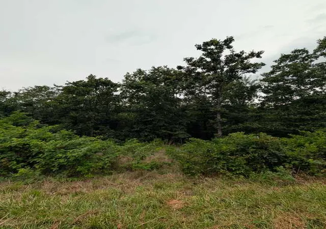 Photo 3 of Land for sale at Selkirk Dr, Bella Vista, AR 72715 | MLS# 1355579 | Listing updated on 2026-07-17