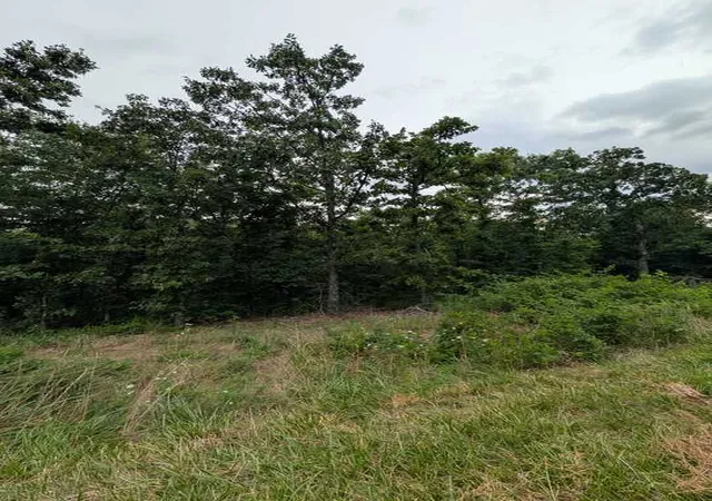 Photo 3 of Land for sale at Selkirk Dr, Bella Vista, AR 72715 | MLS# 1355579 | Listing updated on 2026-07-17