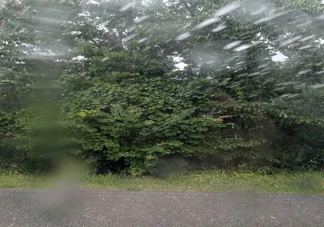 Photo 1 of Land for sale at Duns Ln, Bella Vista, AR 72715 | MLS# 1355584 | Listing updated on 2026-07-17