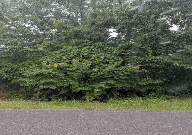 Photo 2 of Land for sale at Duns Ln, Bella Vista, AR 72715 | MLS# 1355584 | Listing updated on 2026-07-17