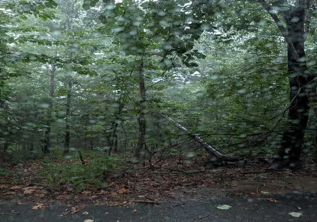 Photo 3 of Land for sale at Duns Ln, Bella Vista, AR 72715 | MLS# 1355584 | Listing updated on 2026-07-17